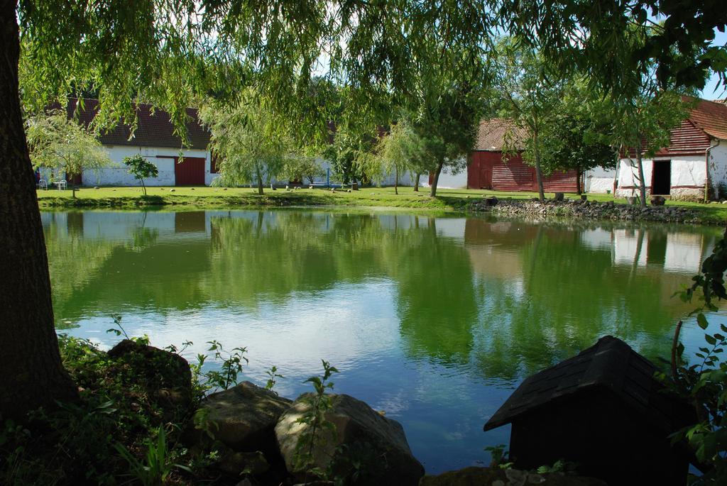 Domaine De Collen Panzió Lépine Kültér fotó