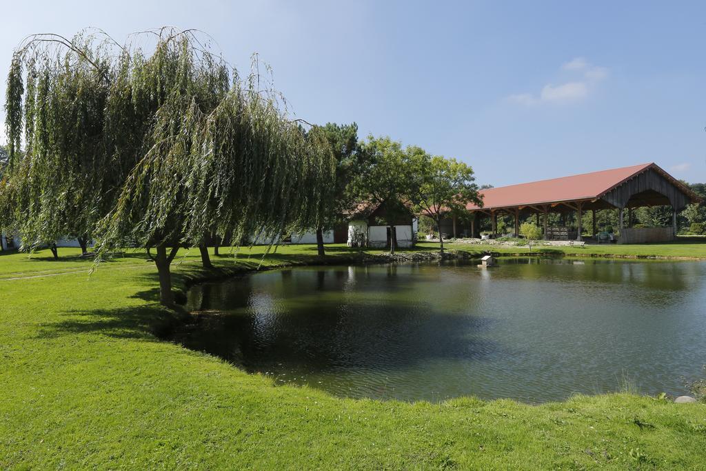 Domaine De Collen Panzió Lépine Kültér fotó